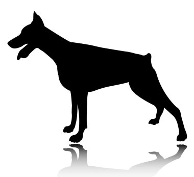 Doberman clipart