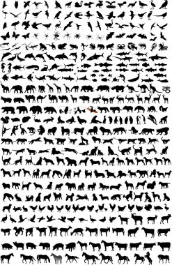 Картина, постер, плакат, фотообои "силуэты животных постеры картины модульные", артикул 2664525