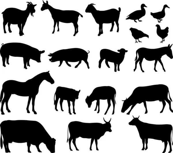 Силуэты сельскохозяйственных животных — стоковый вектор