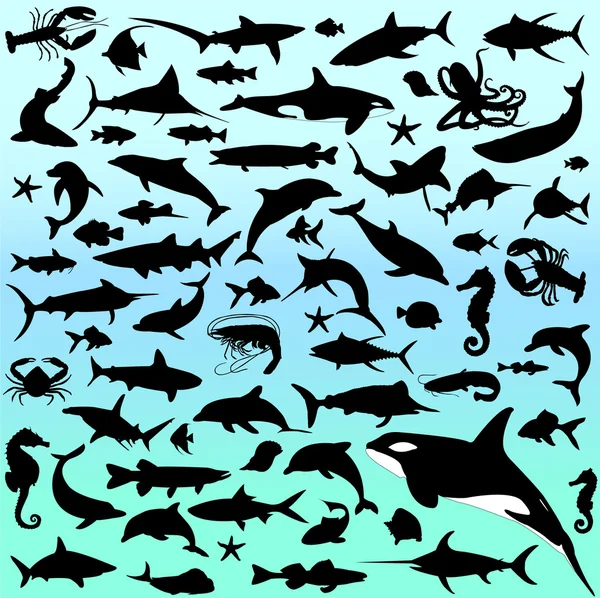 Sea animals — Stock Vector