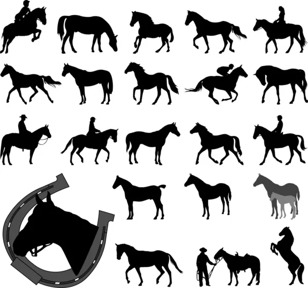 Silhouettes de chevaux — Image vectorielle