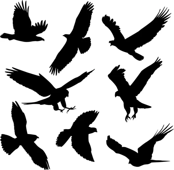 Vogels silhouetten — Stockvector