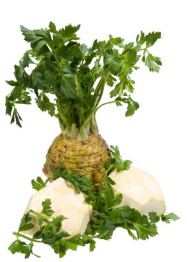 Celery Root clipart