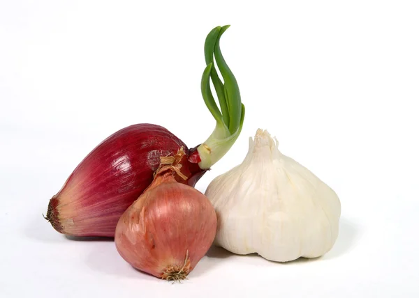 Garlic, Red Onion and Shallot — Stock Photo, Image