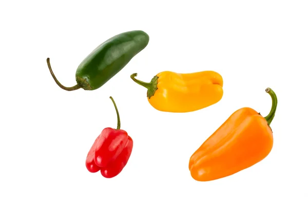 Quatro pimentas coloridas — Fotografia de Stock