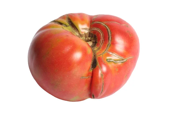 Beautiful Heirloom Tomato — Stock Photo, Image