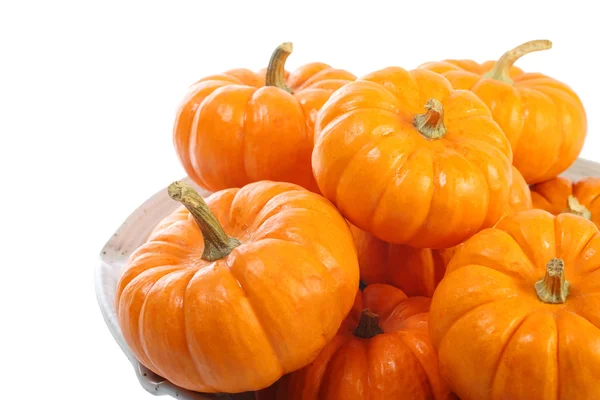 Pumpkin Pie — Stock Photo, Image