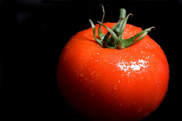 Vine tomate maduro — Fotografia de Stock
