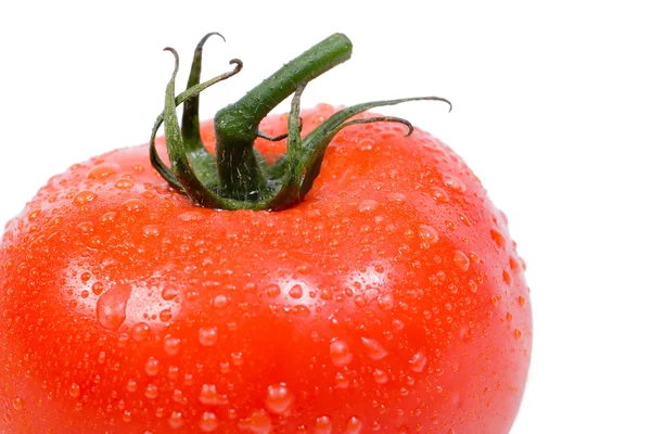Delicious Vine Ripe Tomato — Stock Photo, Image