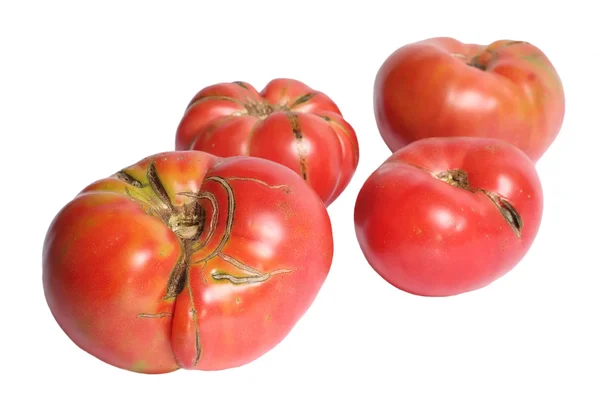 Beautiful Heirloom Tomatoes — Stock Photo, Image