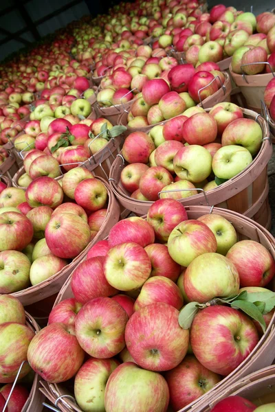 Яблоки на рынке Лицензионные Стоковые Изображения