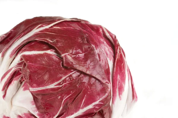 stock image Fresh Radicchio Head