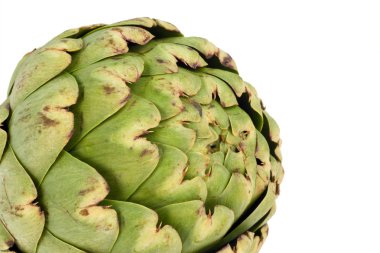 Globe Artichoke clipart