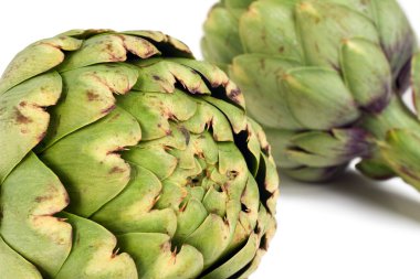 Globe Artichokes clipart