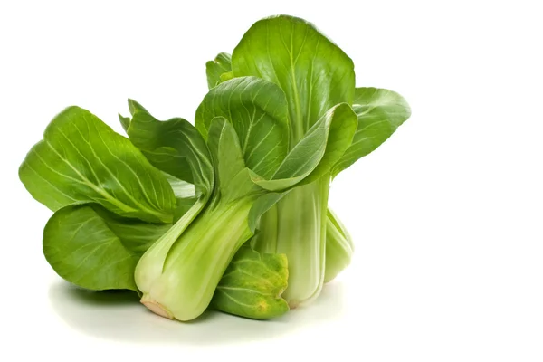 Bunch of Baby Bok Choy — Stock Photo, Image