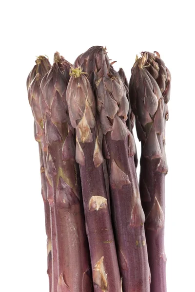 Fioletowy szparagów spears pionowe — Zdjęcie stockowe