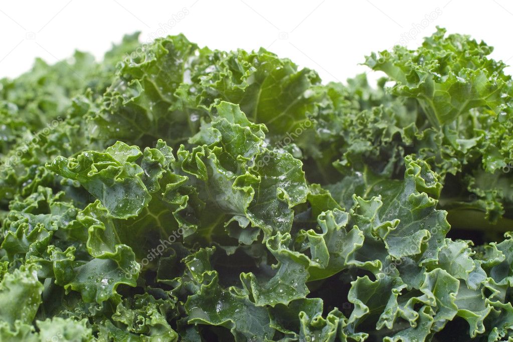 Nutritious Wet Kale