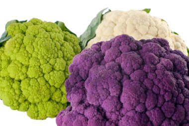 Colorful Cauliflower clipart