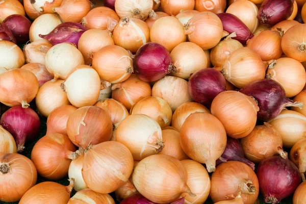 Süße Zwiebeln auf dem Markt — Stockfoto