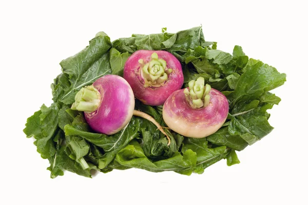 Turnips on a Bed of Greens — Stock Photo, Image