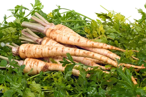 Root Parsley on Leaves — Stock Photo, Image