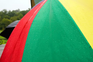 Umbrella in Rain clipart