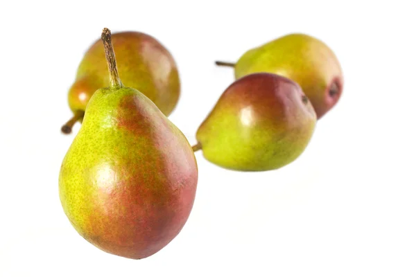 stock image Seckel Pears