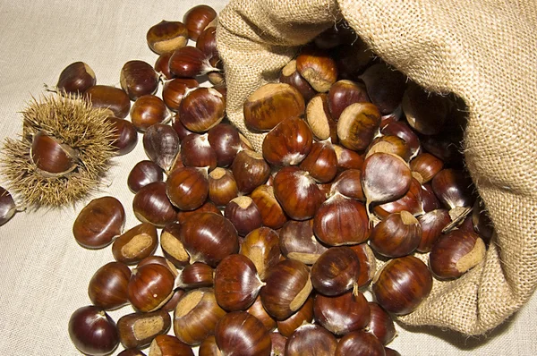 Sack of chestnuts — Stock Photo, Image