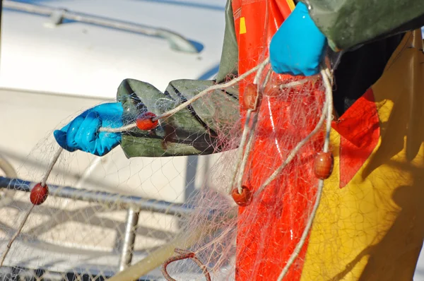 Fisherman controlling net — Stock Photo, Image