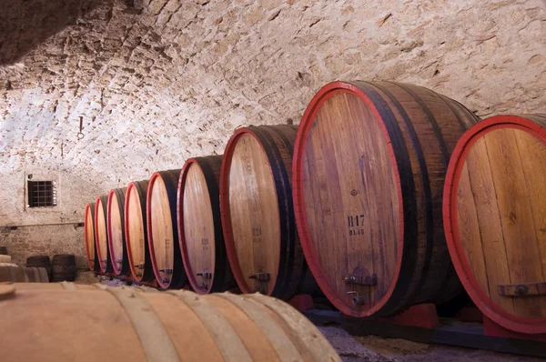 Cascos de vinho — Fotografia de Stock