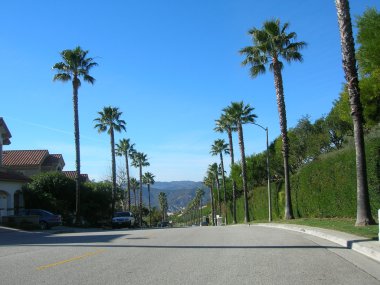 Cross road ve palmiye ağaçları