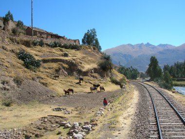 Railroad in Peru clipart