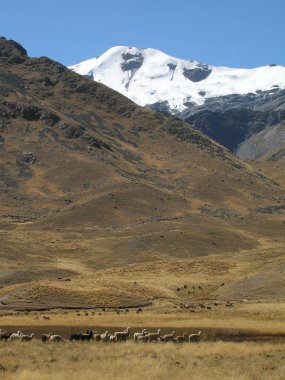 And Dağları'nın karlı cordillera