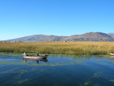 Titicaca lake, Peru clipart