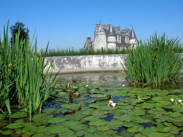 Lírios em frente a um castelo de Loire, Fran — Fotografia de Stock