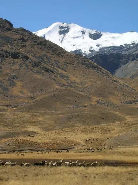 Az Andok havas cordillera Stock Kép
