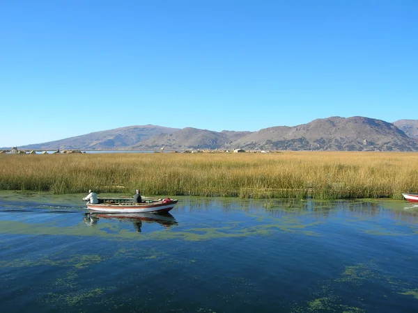 Titicaca-tó, peru Jogdíjmentes Stock Képek
