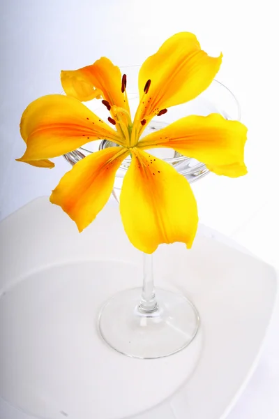 Gelbe Lilie im Glas — Stockfoto