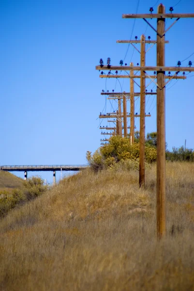 Linha de postes de energia — Fotografia de Stock