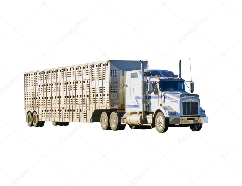 Big truck and livestock trailer