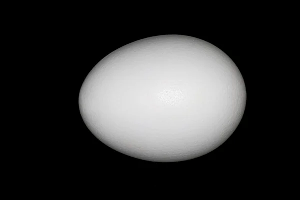 鶏の卵のクローズ アップ — ストック写真