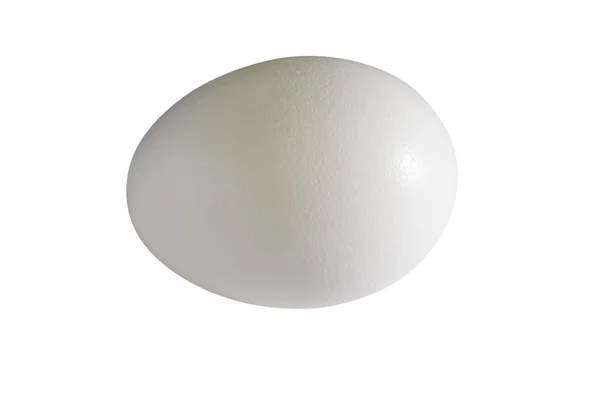 Gros plan sur l'œuf de poulet — Photo
