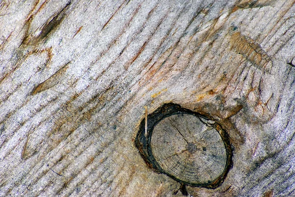 오래 된 나무 판자 설정 되어 회색 — 스톡 사진
