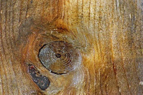 Hava yaşlı ağaç kalası — Stok fotoğraf