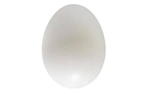 Detail slepičí vejce — Stock fotografie