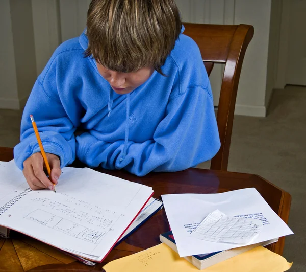 Ödev yapan bir genç. — Stok fotoğraf