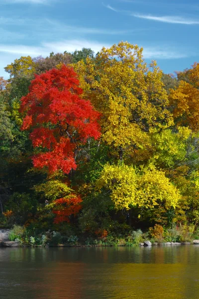 stock image Fall Reflections on a Lake