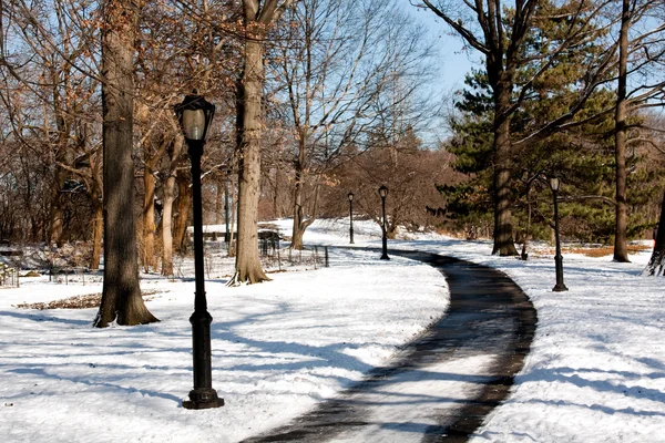 Lamp Post Lined Path Royalty Free Stock Photos