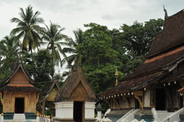 Budist tapınağı luang prabang, laos