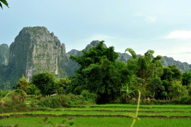 vang vieng, laos peyzaj